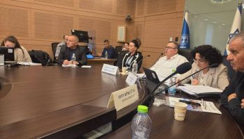 תכנון התשתיות בנאות חובב בוועדת הכלכלה